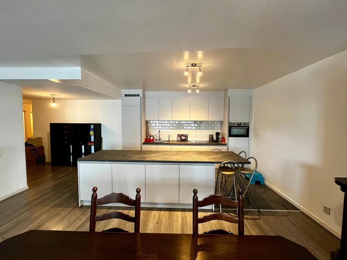 Big Apartment With Parking In Antwerpia Zewnętrze zdjęcie